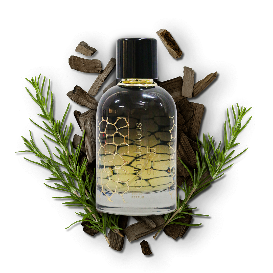 Oudh Fabulous Luxurious Eau De Perfume for Men